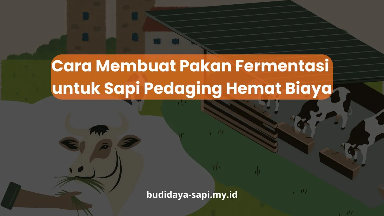 PELATIHAN CARA MEMBUAT PAKAN FERMENTASI UNTUK SAPI PEDAGING HEMAT BIAYA JAKARTA