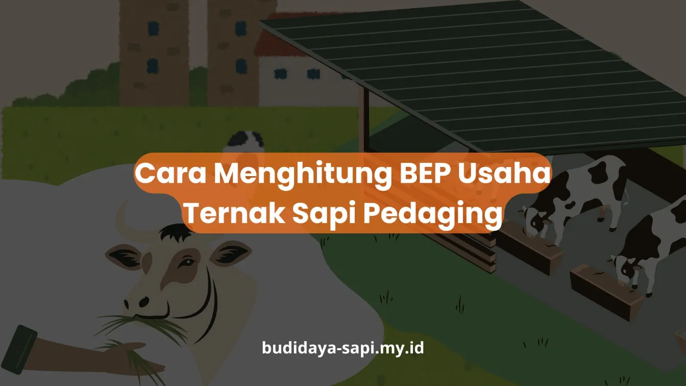 PELATIHAN CARA MENGHITUNG BEP USAHA TERNAK SAPI PEDAGING JAKARTA