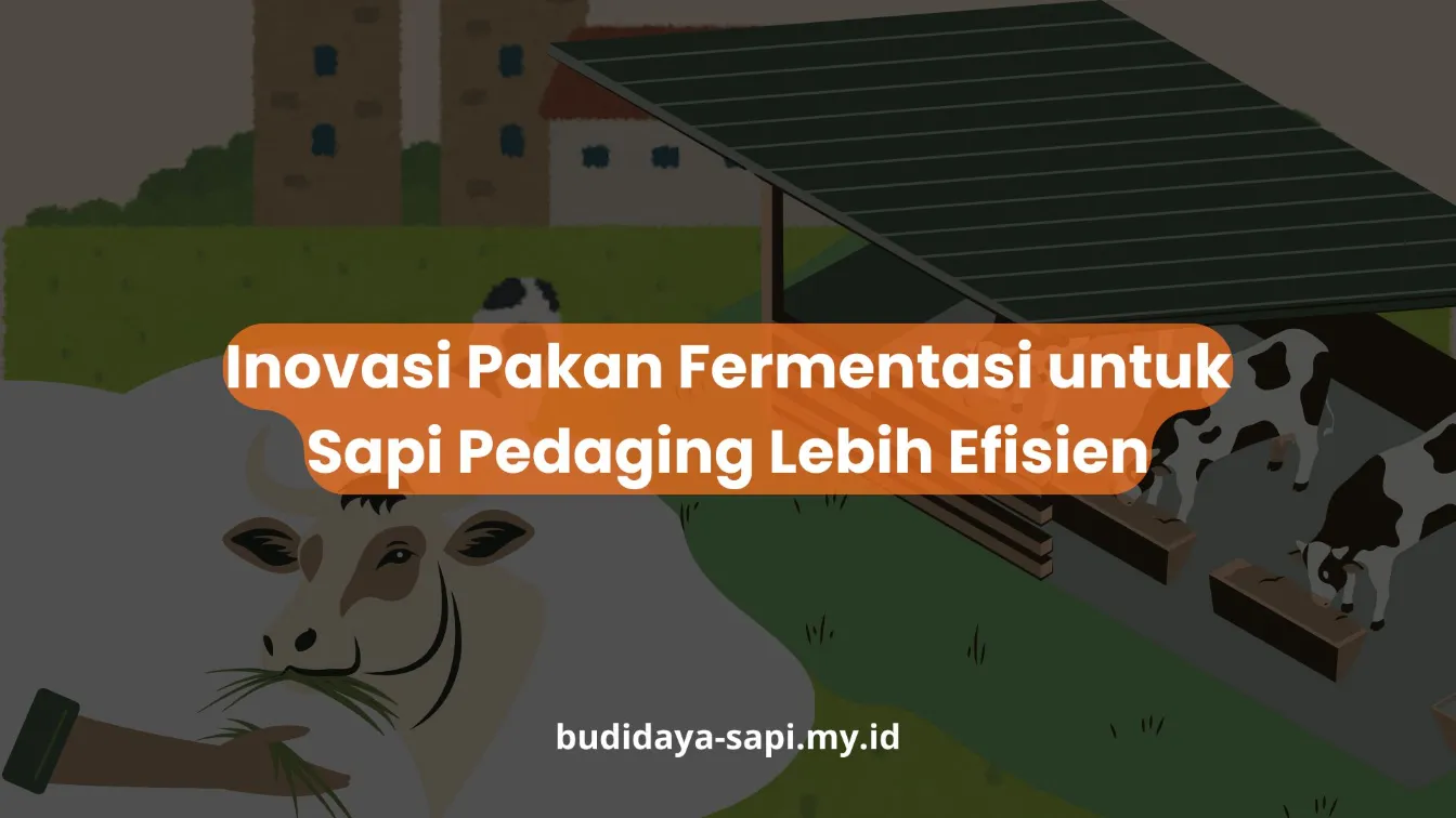 PELATIHAN INOVASI PAKAN FERMENTASI UNTUK SAPI PEDAGING LEBIH EFISIEN JAKARTA