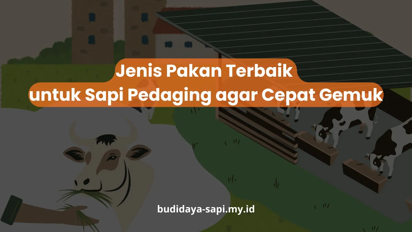 PELATIHAN JENIS PAKAN TERBAIK UNTUK SAPI PEDAGING AGAR CEPAT GEMUK JAKARTA