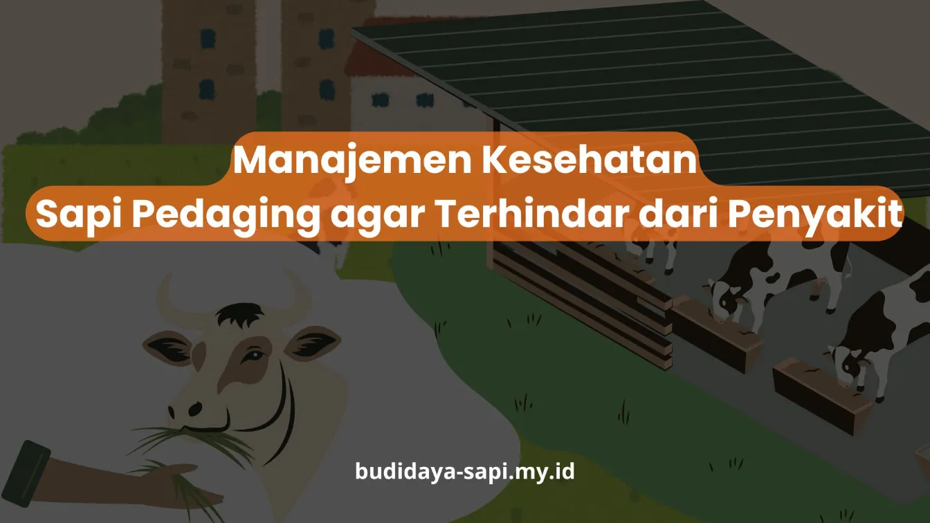 PELATIHAN MANAJEMEN KESEHATAN SAPI PEDAGING AGAR TERHINDAR DARI PENYAKIT JAKARTA