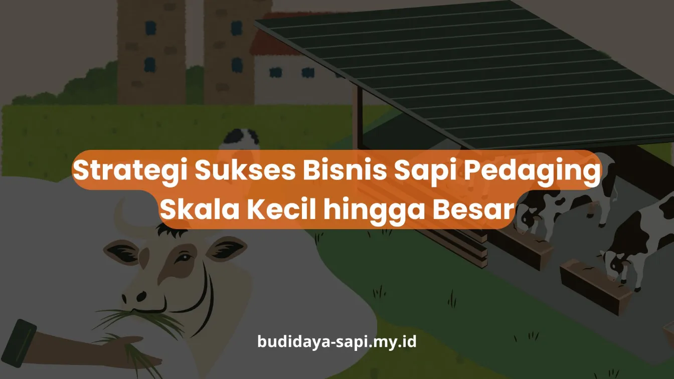 PELATIHAN STRATEGI SUKSES BISNIS SAPI PEDAGING SKALA KECIL HINGGA BESAR JAKARTA