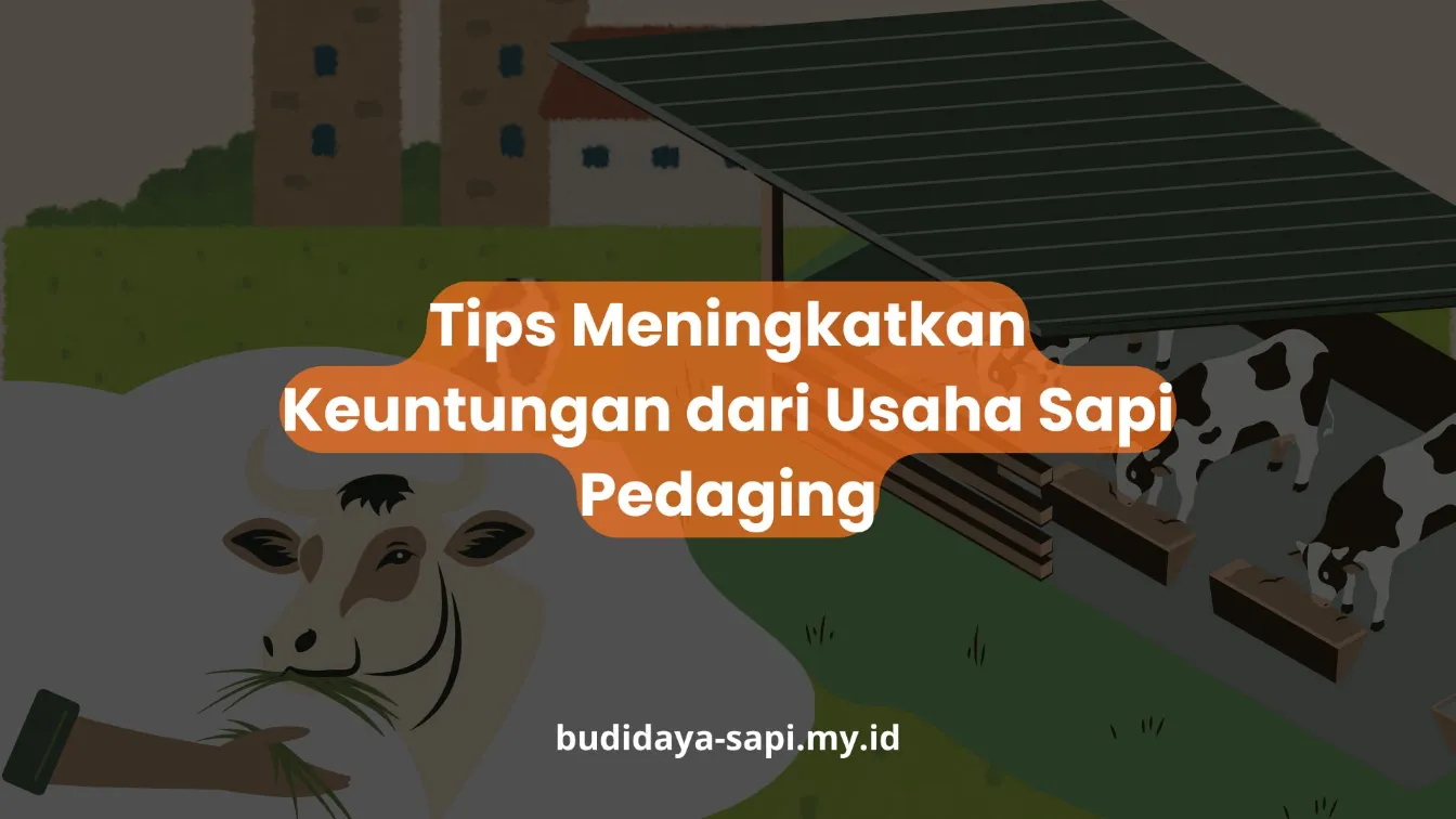PELATIHAN TIPS MENINGKATKAN KEUNTUNGAN DARI USAHA SAPI PEDAGING JAKARTA