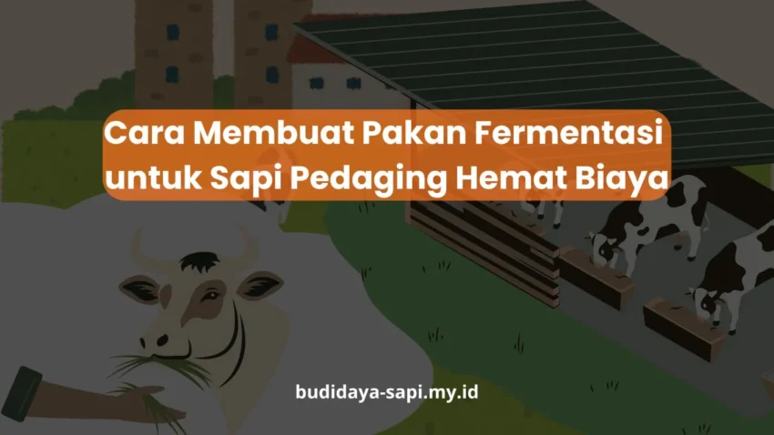 PELATIHAN CARA MEMBUAT PAKAN FERMENTASI UNTUK SAPI PEDAGING HEMAT BIAYA JAKARTA