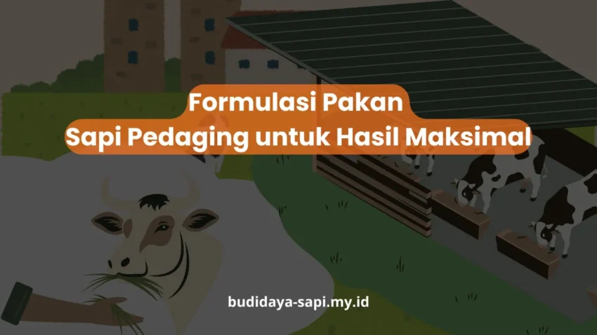 PELATIHAN FORMULASI PAKAN SAPI PEDAGING UNTUK HASIL MAKSIMAL JAKARTA
