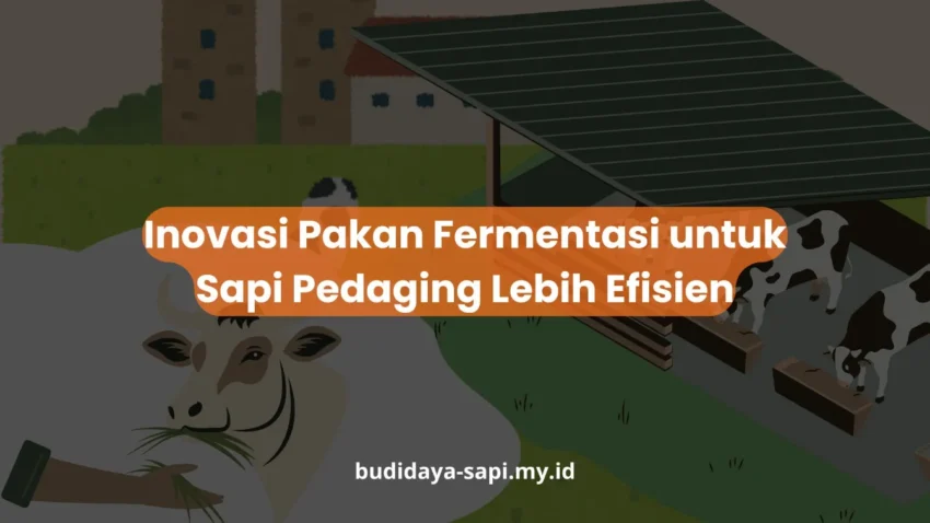 PELATIHAN INOVASI PAKAN FERMENTASI UNTUK SAPI PEDAGING LEBIH EFISIEN JAKARTA