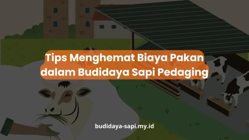 PELATIHAN TIPS MENGHEMAT BIAYA PAKAN DALAM BUDIDAYA SAPI PEDAGING JAKARTA